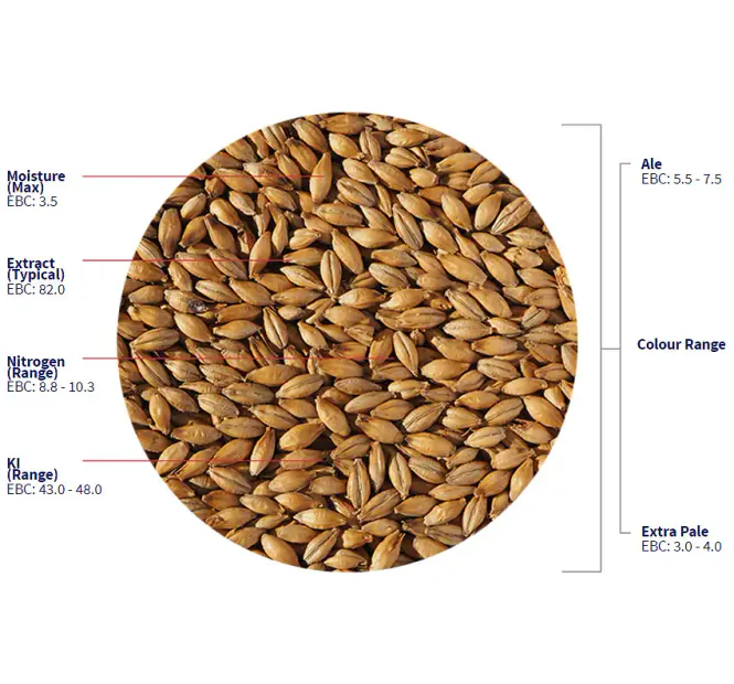 Hovedbilde Best ale malt (5,5-7,5 EBC) - Crisp Malting