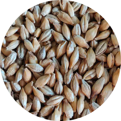 Chit Malt (2.2-3.2 EBC) - Crisp Malting